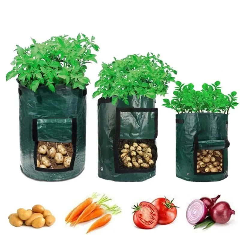 Bag para Cultivo