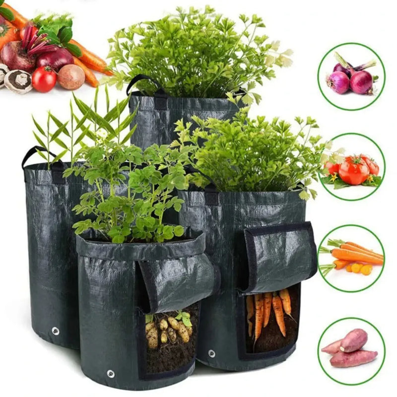 Bag para Cultivo